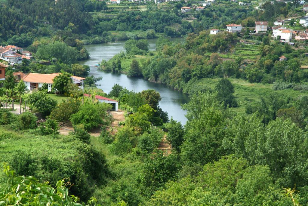 Готель Quinta Das Vessadas Каштелу-де-Пайва Екстер'єр фото